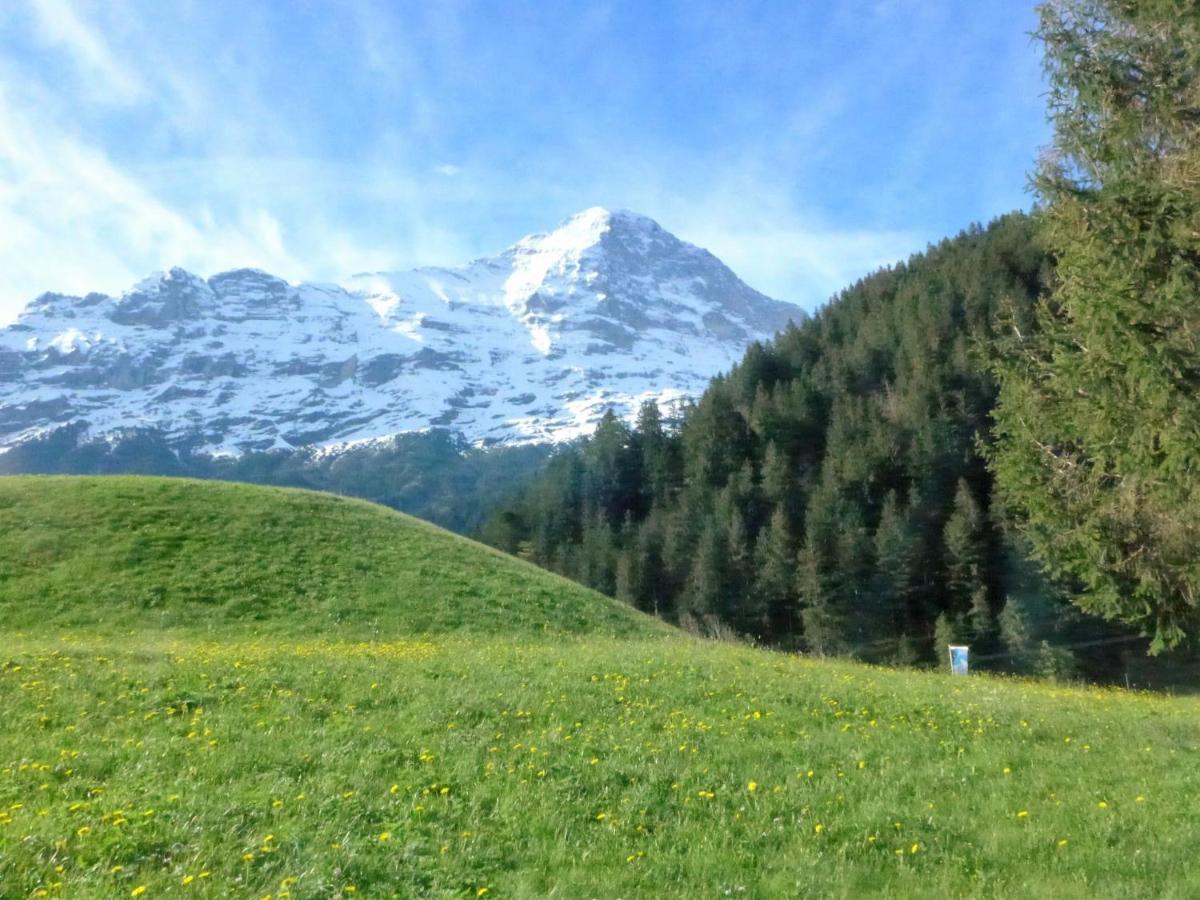 Marie Rosa-1 By Interhome Grindelwald