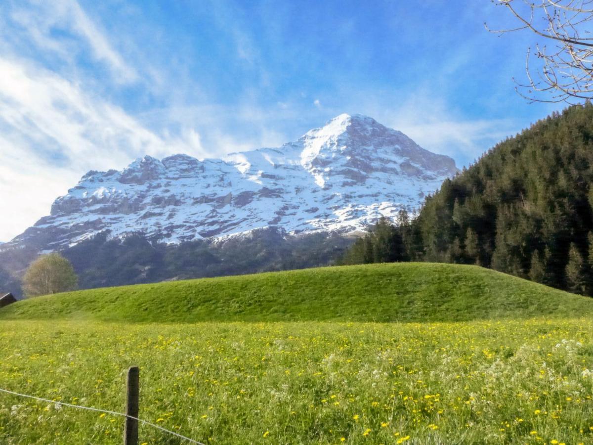 Apartment Marie Rosa-1 By Interhome Grindelwald