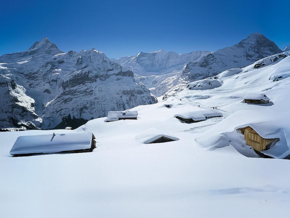 Marie Rosa-1 By Interhome * Grindelwald